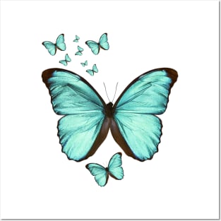 Teal Butterfly Posters and Art